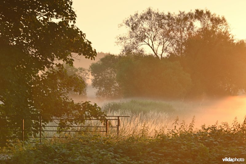 Demervallei: Langdorp