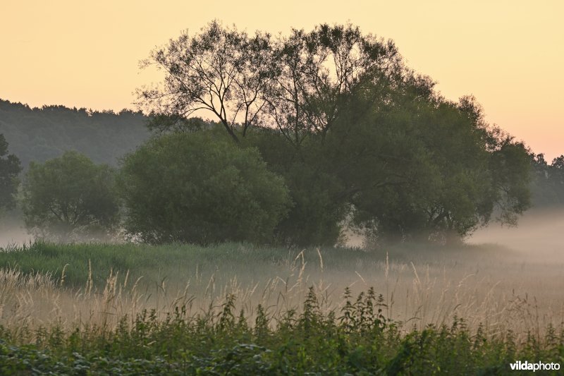Demervallei: Langdorp