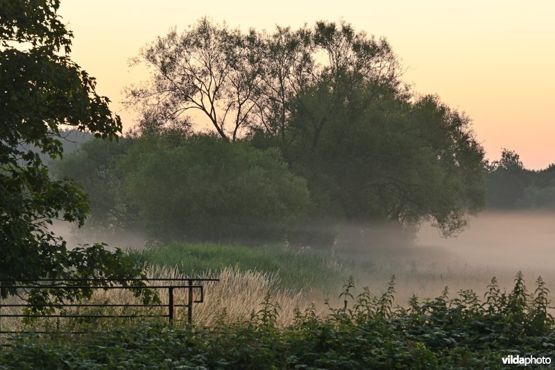 Demervallei: Langdorp