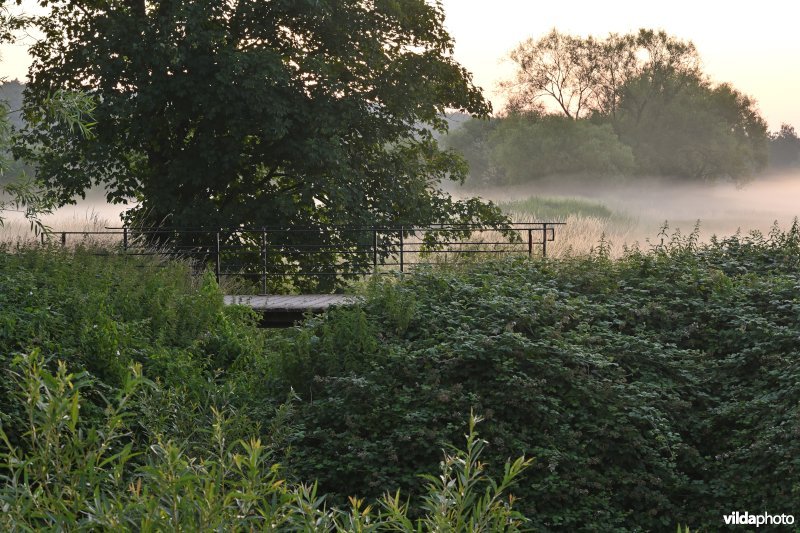 Demervallei: Langdorp