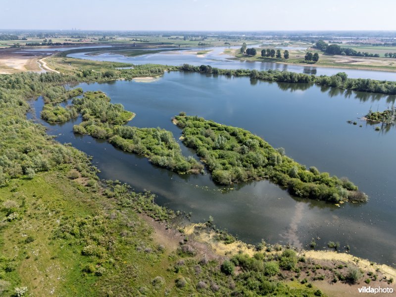 Bichterweerd