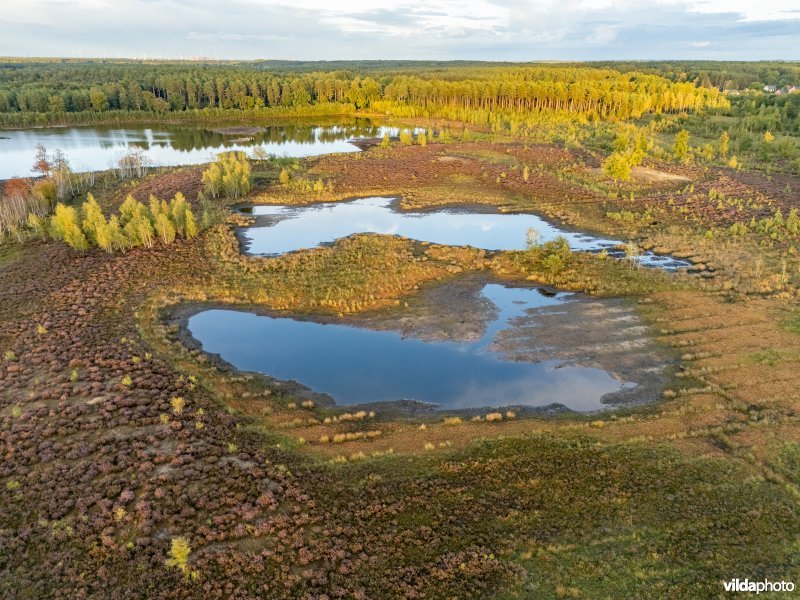 Natuurherstel in Averbode