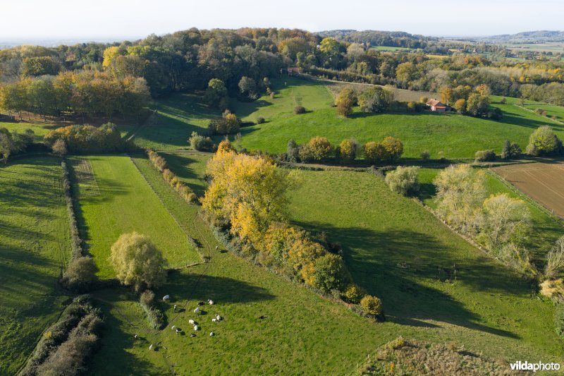 Hellegatbos op de Rodeberg