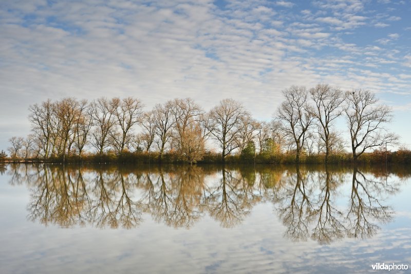 Vijfhuizenbroek