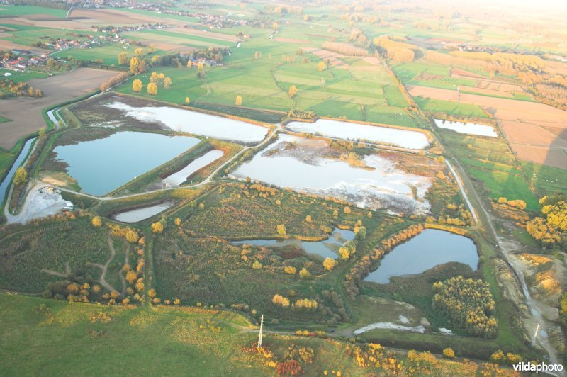 Suikerbekkens van Tienen