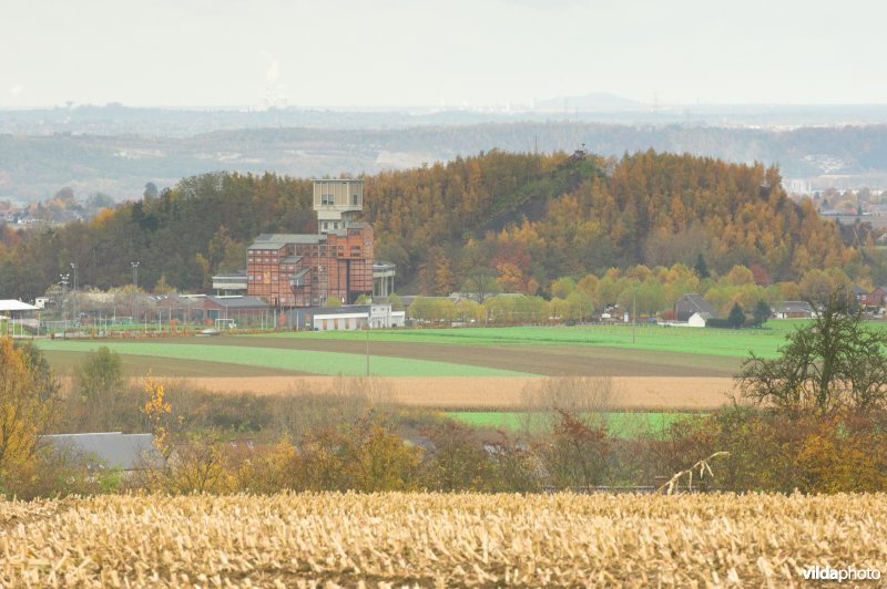 Steenkoomterril van Blégny