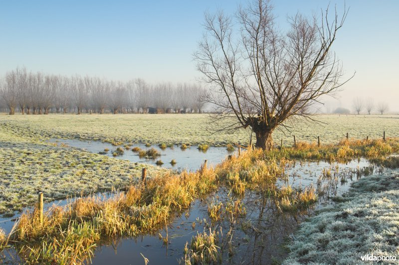 Vingelinkbeekvallei