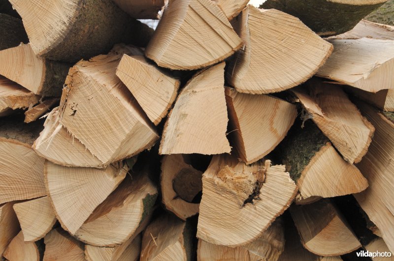 Het maken van brandhout