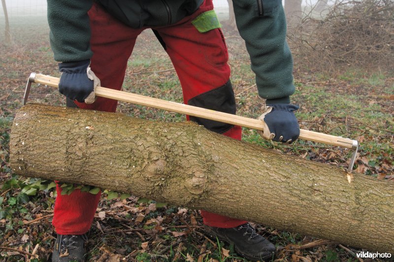 Meterhout afmeten met de meterstok