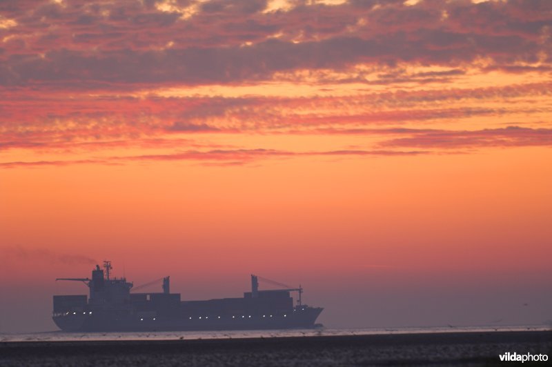 Vrachtboot op de Westerschelde