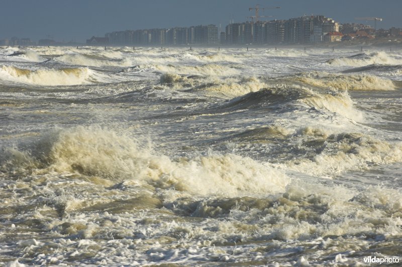 Storm aan zee