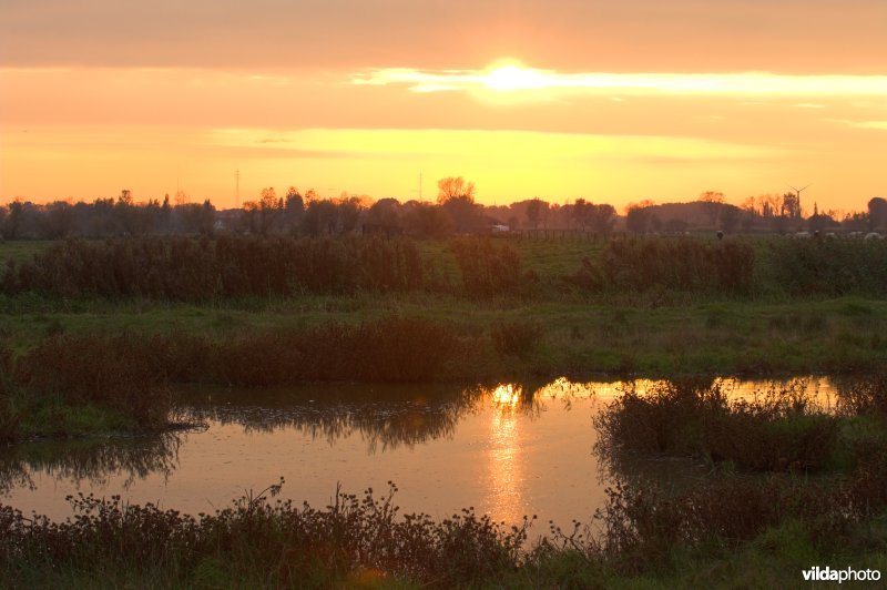 Natuurreservaat Stadswallen van Damme