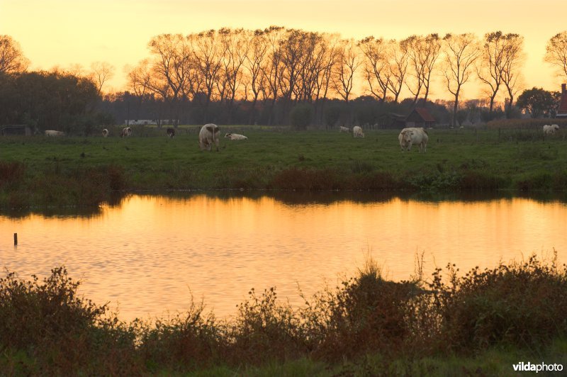 Natuurreservaat Stadswallen van Damme