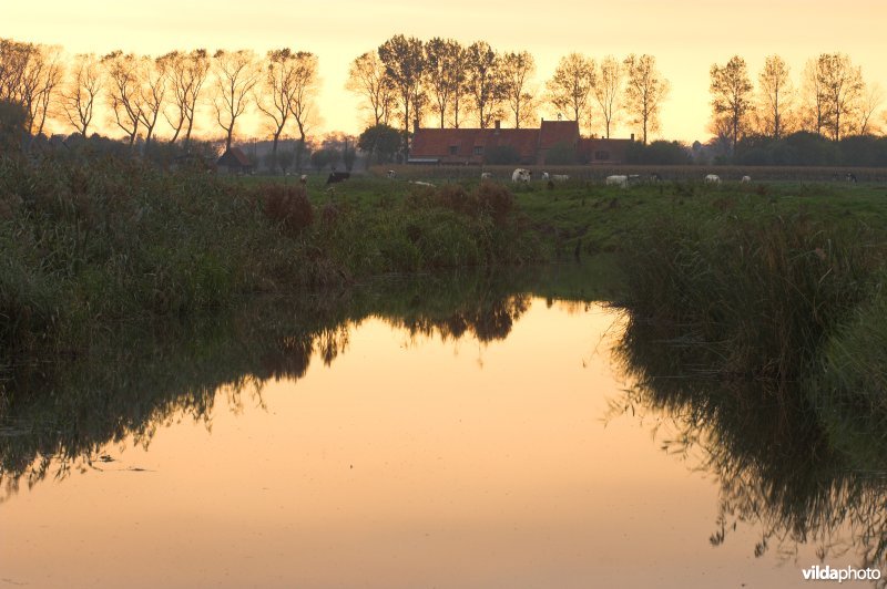 Natuurreservaat Stadswallen van Damme