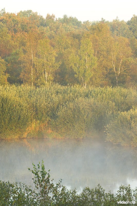 Landschap de Liereman