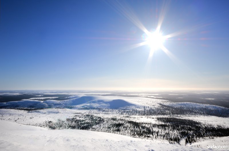 Besneeuwd fjell landschap