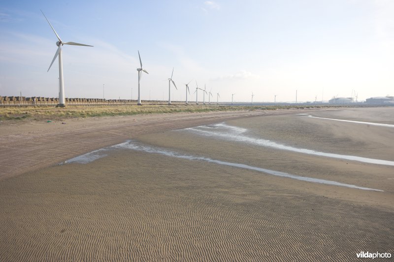 Sterneneiland in haven Zeebrugge