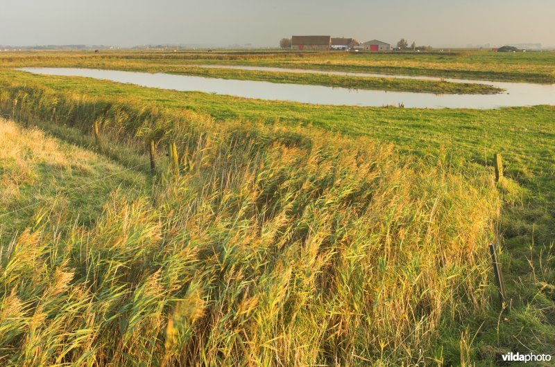 Uitkerkse polders