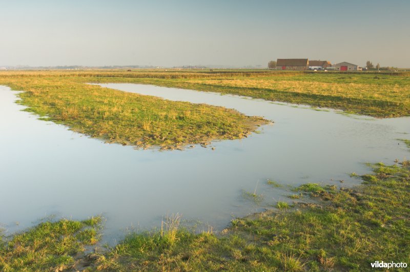 Uitkerkse polders