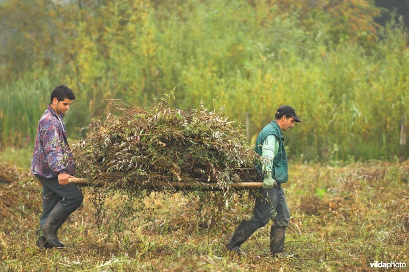 Natuurarbeiders aan de slag