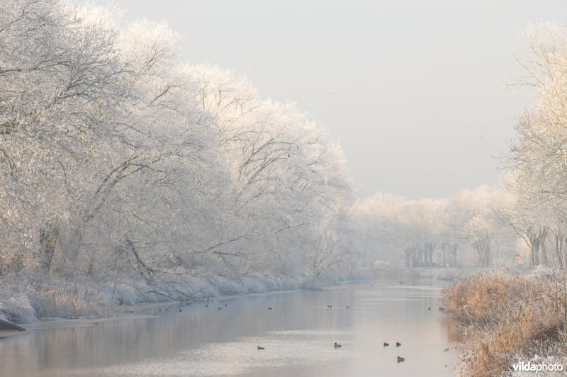Berijpte Ieperlee-kanaal