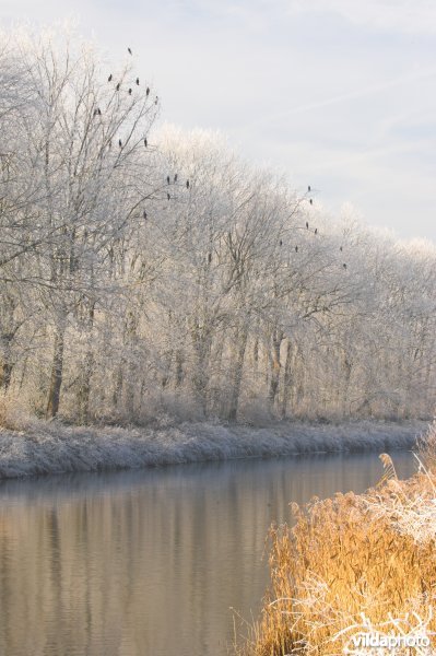 Berijpte Ieperlee-kanaal