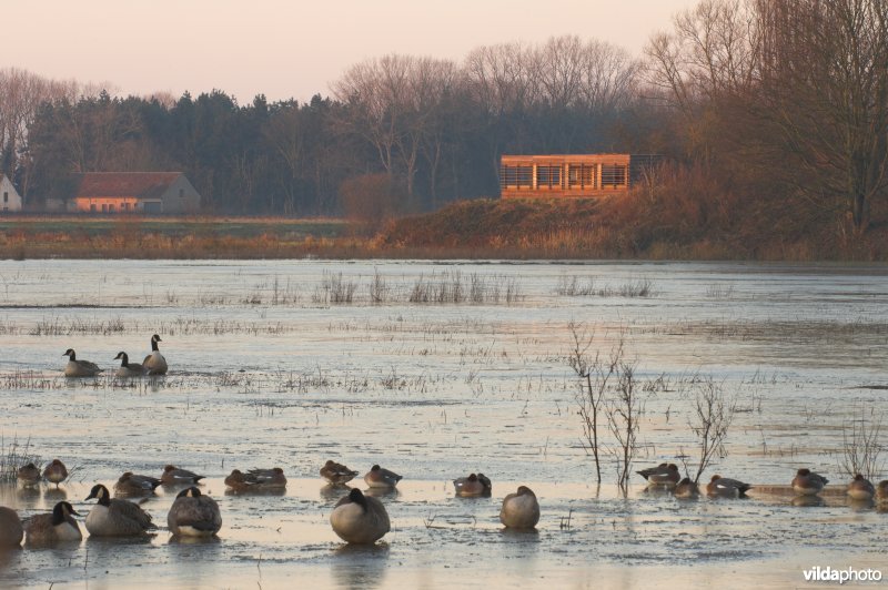 Natuurreservaat de Bourgoyen