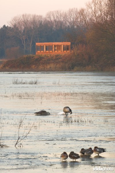 Natuurreservaat de Bourgoyen