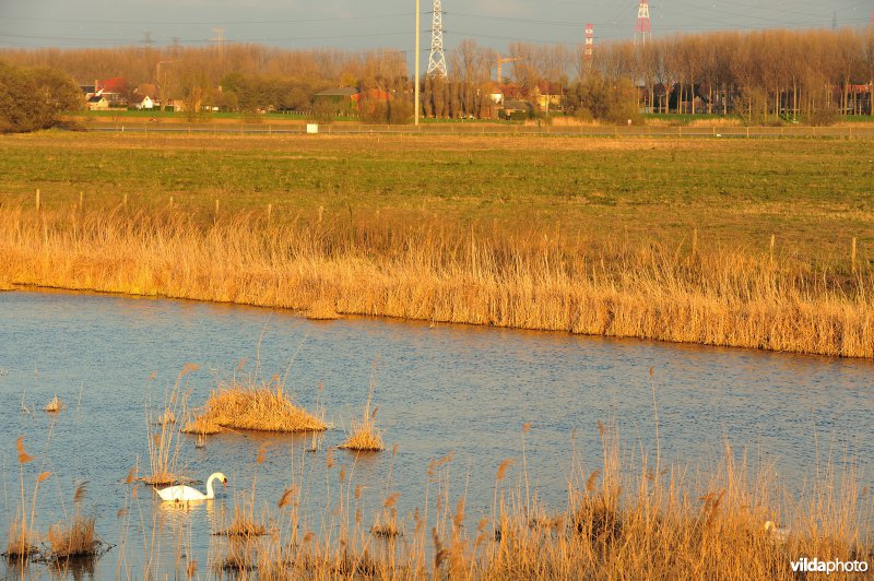 Steenlandpolder