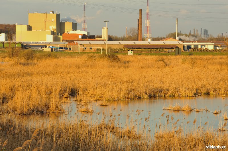 Steenlandpolder