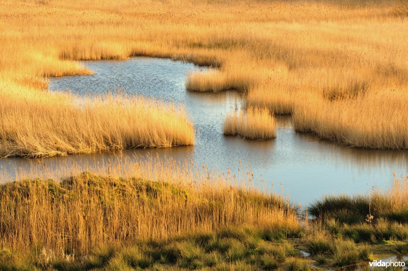 Steenlandpolder