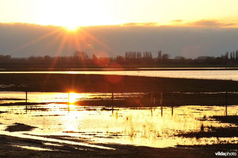 Zoetwaterkreek en Putten West