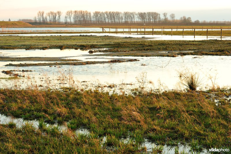 Zoetwaterkreek en Putten West