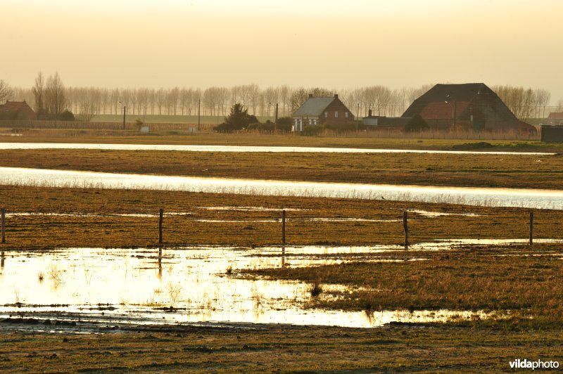 Zoetwaterkreek en Putten West