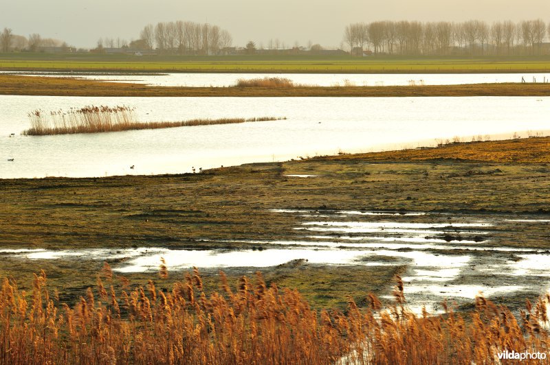 Zoetwaterkreek en Putten West