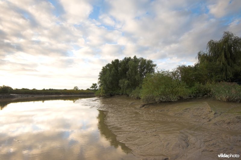 Durme in Tielrode