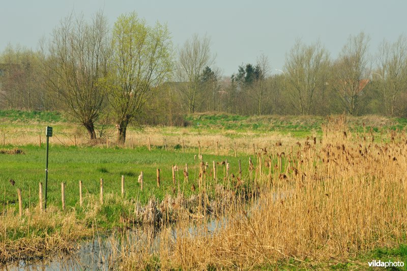 Hagenmeersen in de Durmevallei