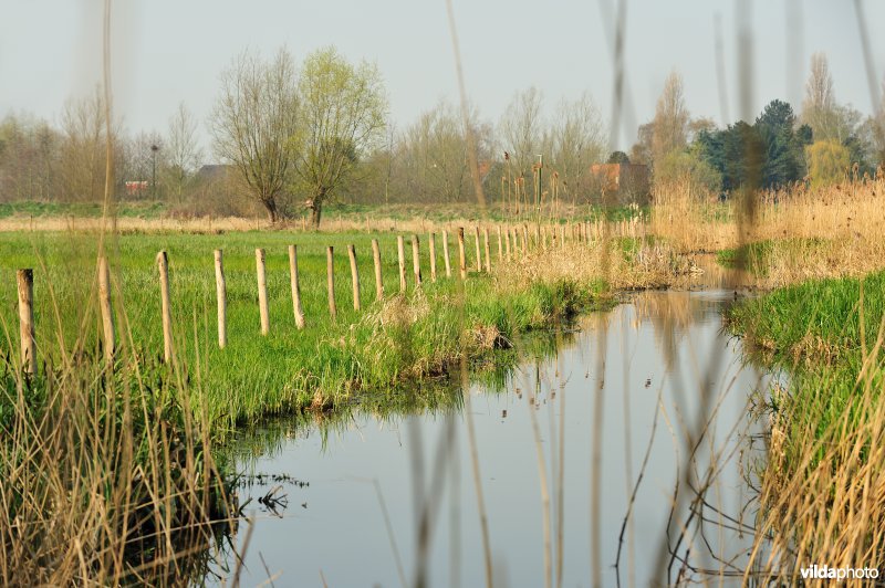 Hagenmeersen in de Durmevallei
