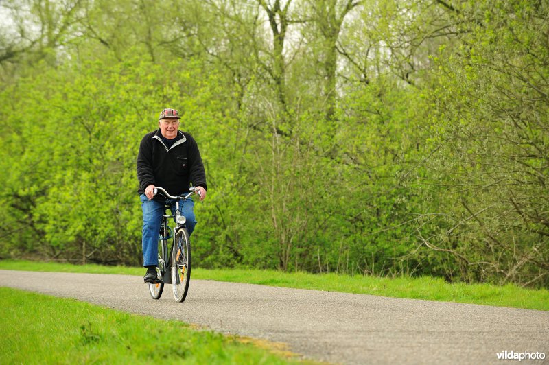 Fietsen op de Scheldedijk