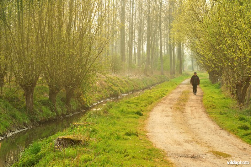 Natuurreservaat Vlassenbroekse Polder