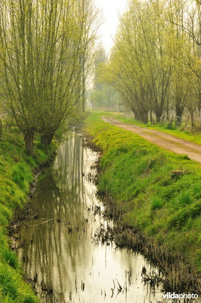 Natuurreservaat Vlassenbroekse Polder