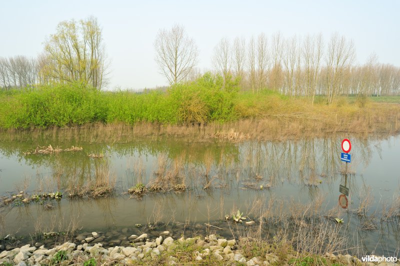 Gecontroleerd gereduceerd getij Lippensbroek