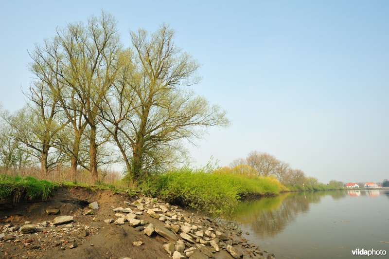 Inlaat van Lippensbroek aan de Schelde