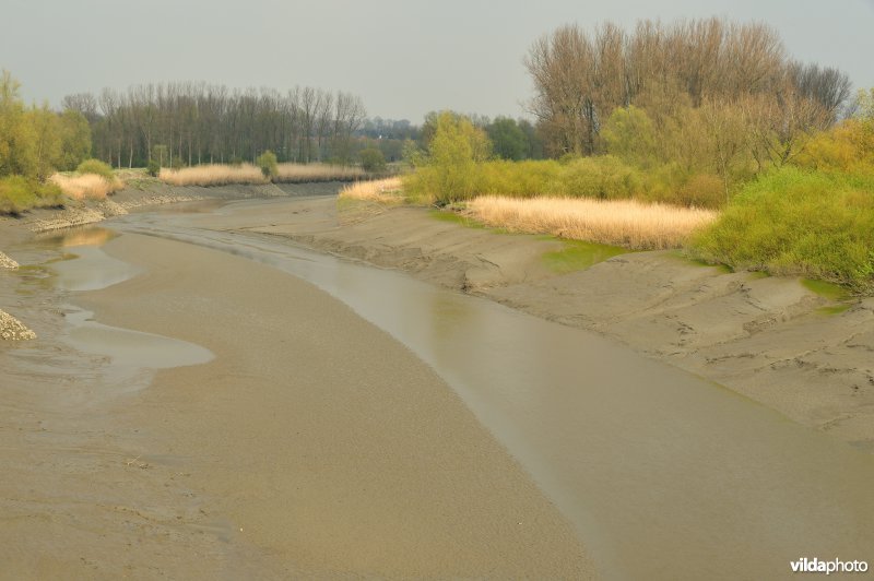 Zoetwaterschor van de Durme