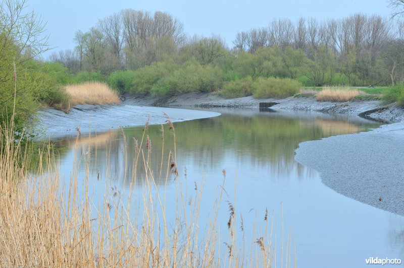 Zoetwaterschor van de Durme