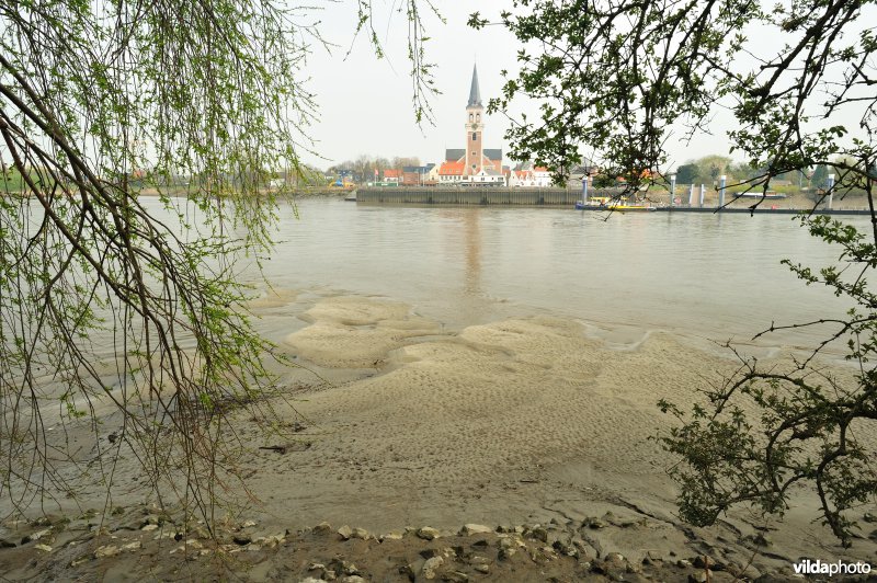 Zoetwaterschor van Sint-Amands