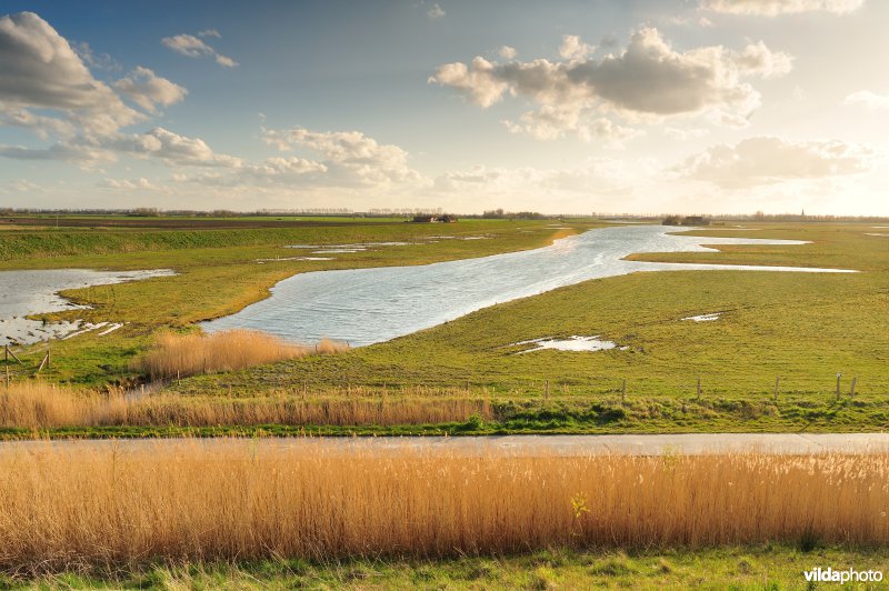 Brakke kreek in Doelpolder Noord