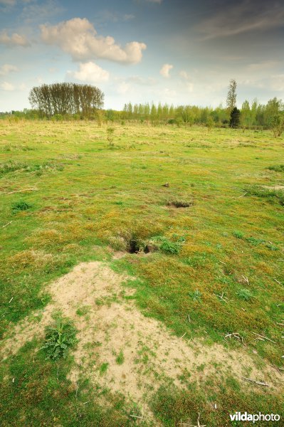 Landduinen in de Wijmeersen deel 1