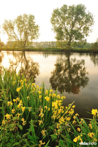 Natuurreservaat Oude Durme