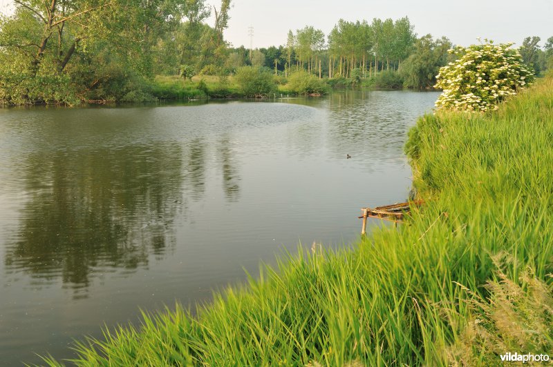 Natuurreservaat Oude Durme